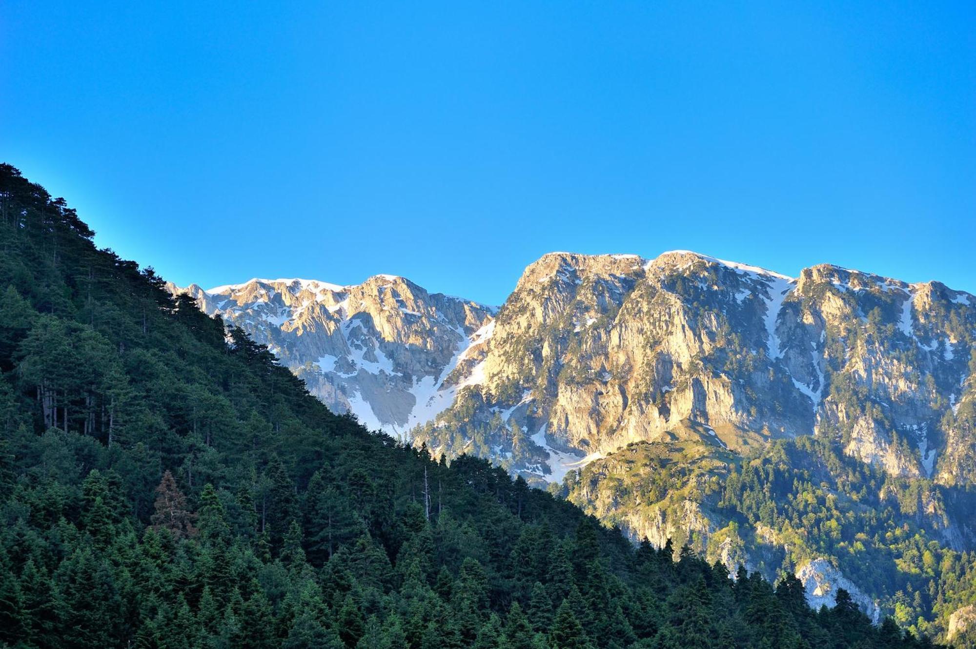 Konitsa Mountain Hotel Bagian luar foto